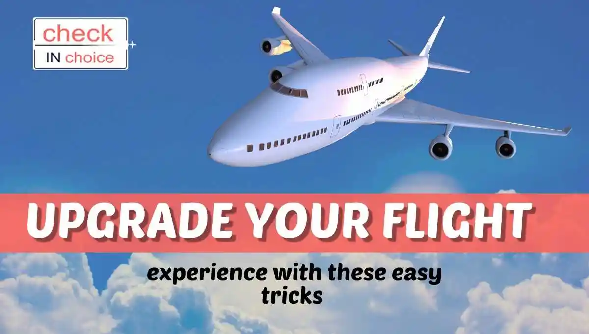 travel flight ticket